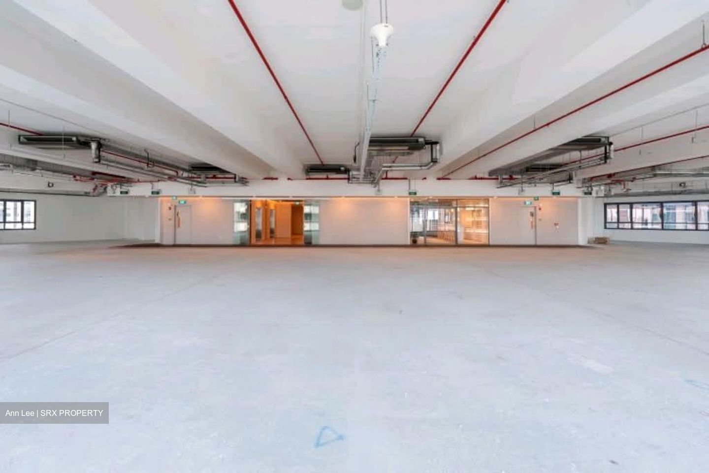PLUS (D1), Office #560761681